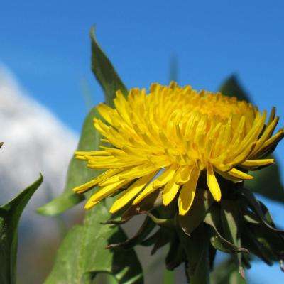 台湾福星彩下载手机版