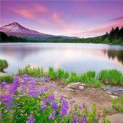 澳门新莆京游戏手机app下载截图